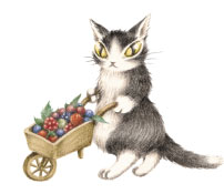 マーシィ - わちふぃーるど(猫のダヤン)のキャラクター紹介