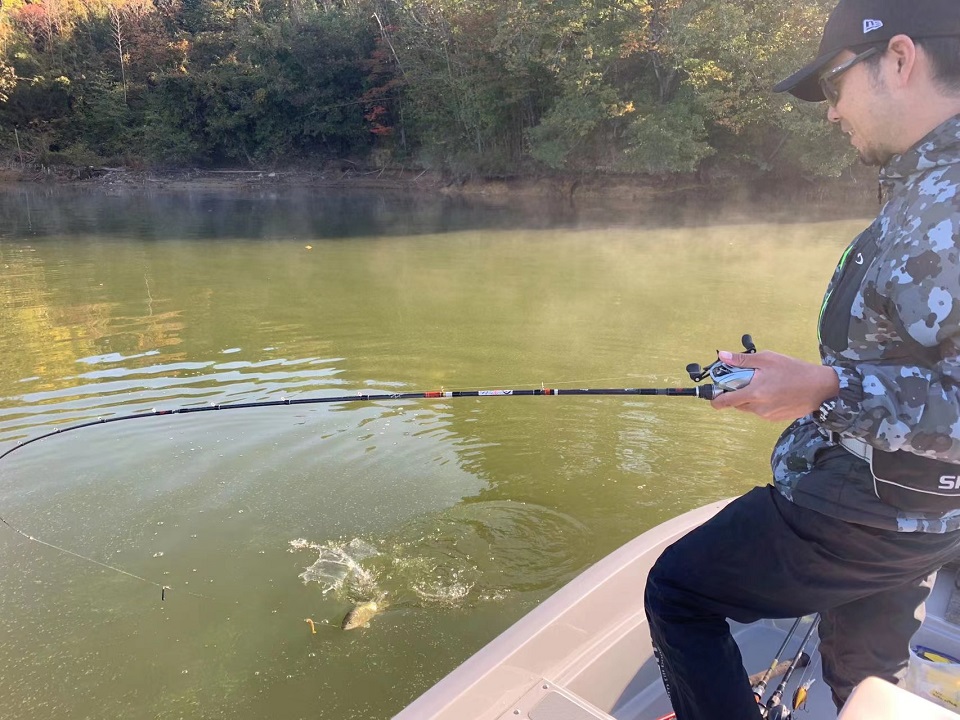 TULALA | Ford every stream | » 【STAFF】グルーヴィ66C & 76Cでの