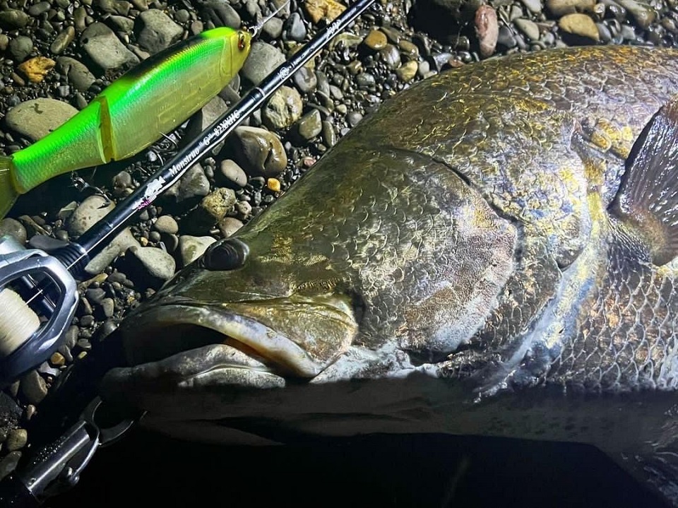 TULALA | Ford every stream | » 【公式】モンストロ “G” ってどんな竿