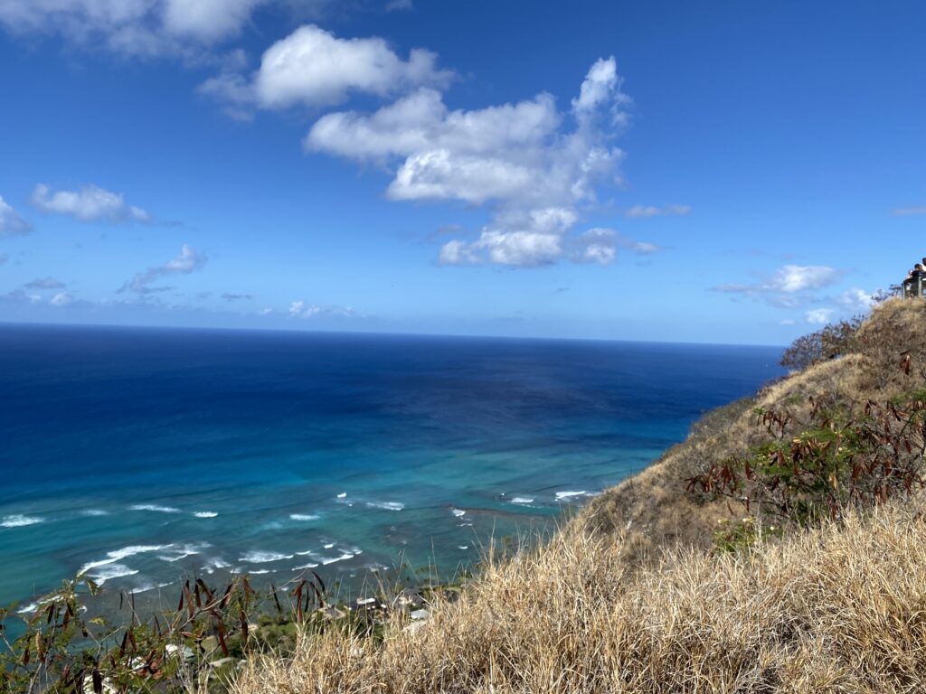 Rich heritage of Diamond head (Lē'ahi) and FREE Rides with Turtle