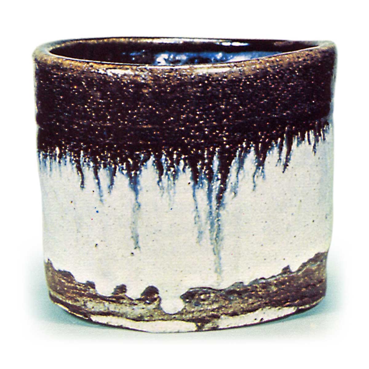 朝鮮唐津 ちょうせんからつ | 鶴田 純久の章 お話