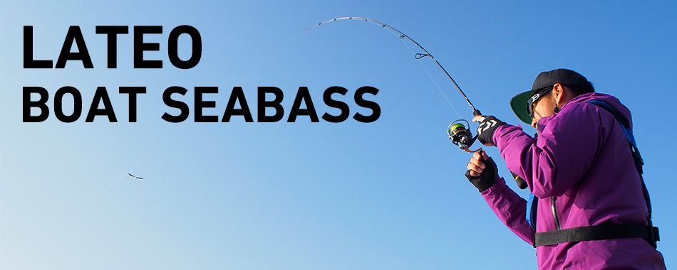 ダイワ2018秋の新製品】ラテオボートシーバス72MHS購入と使用インプレ