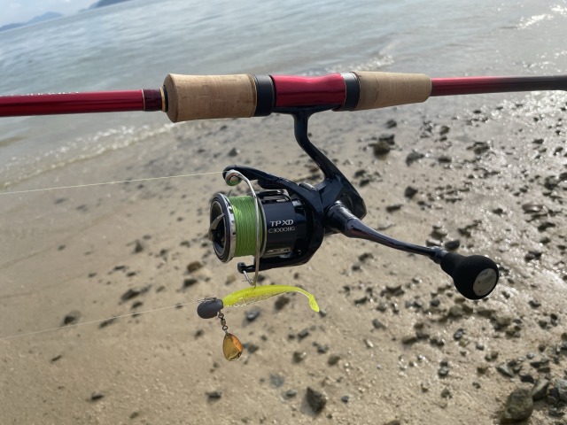 ワールドシャウラ2831】インプレ！エギング～青物まで使用感をお伝えし