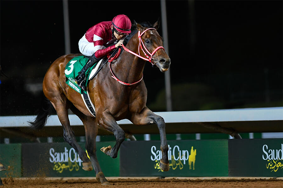 2000年日本ダービー制覇 アグネスフライトが老衰で死亡｜テレ東