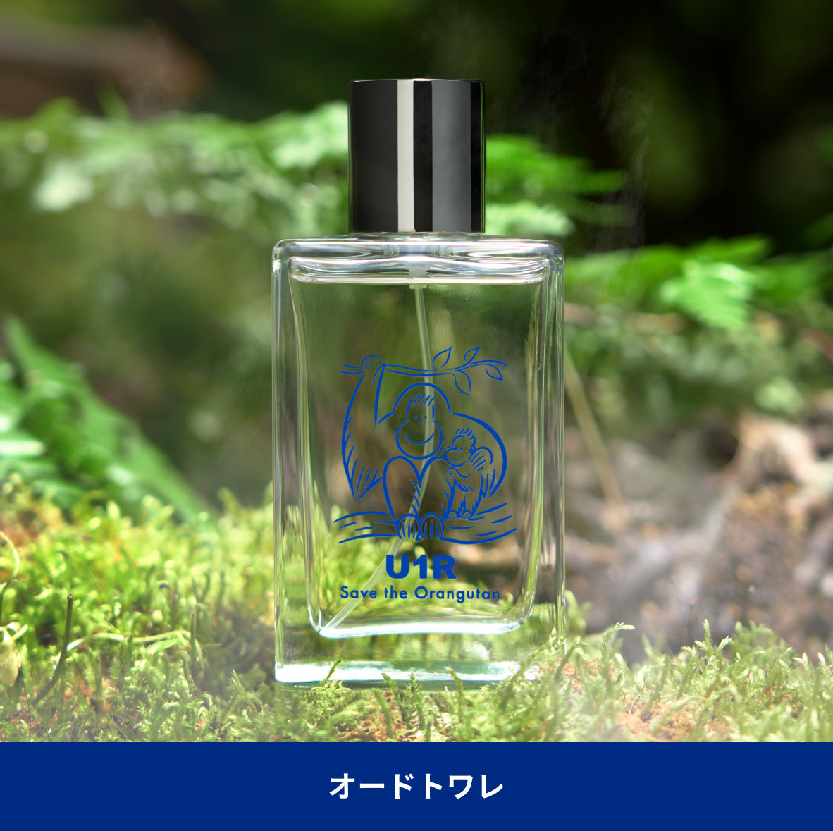 U1R Eau de Toilette Asolo 100mL – THE CREAM OF THE CROP SKINCARE