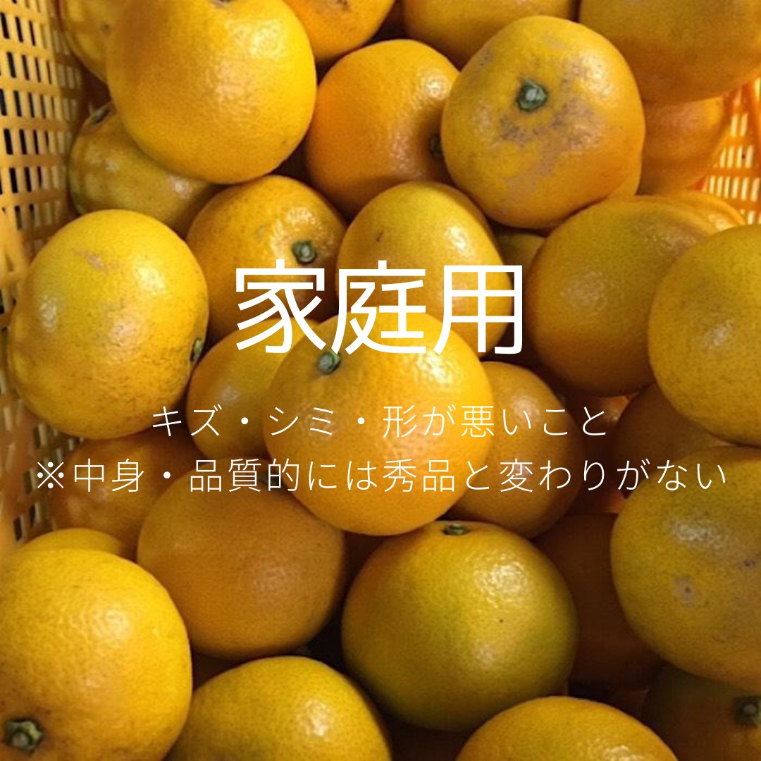 家庭用】 和歌山産 有田の八朔 10㎏ サイズ混合 - 内芝ファーム