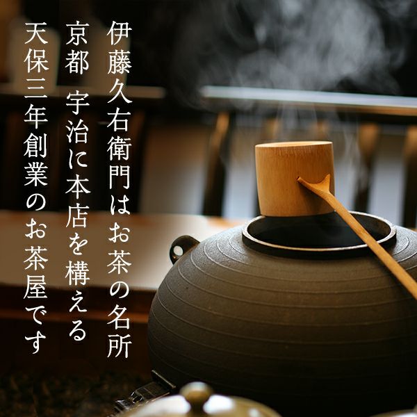 宇治抹茶 碾上 粉末 20g缶入 § てんじょう セレモニアルグレード