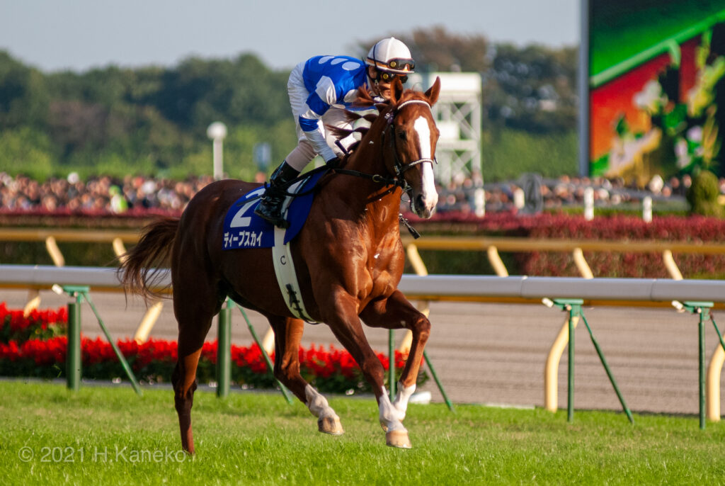 天皇賞・秋］ウオッカvsダイワスカーレットvsディープスカイ…。牝馬の