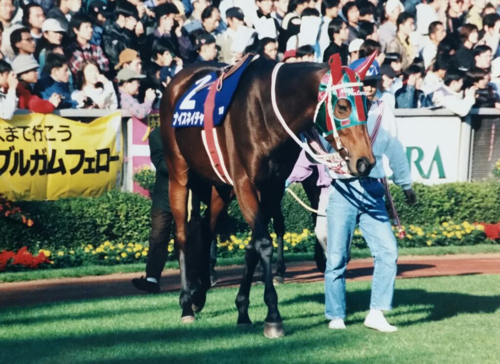 追悼］幸せを運ぶ、ナイスネイチャを偲ぶ | ウマフリ | 競馬コラム