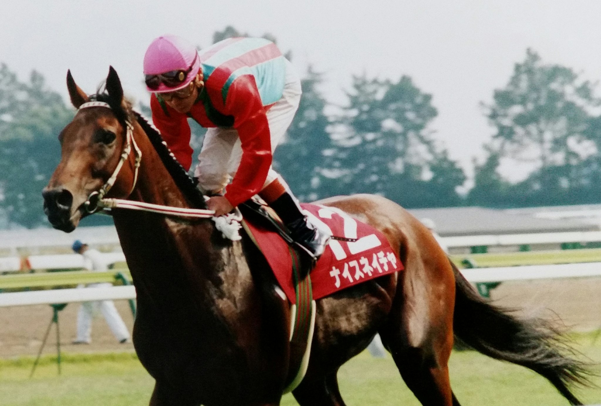 追悼］幸せを運ぶ、ナイスネイチャを偲ぶ | ウマフリ | 競馬コラム