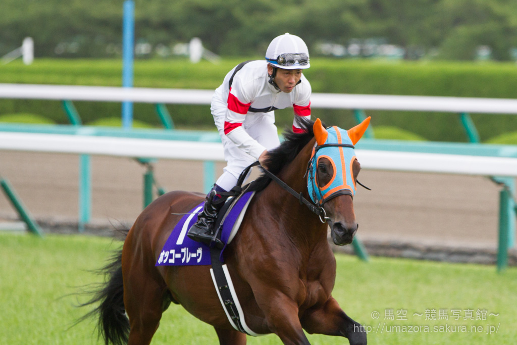 競馬写真】2014年 第55回宝塚記念(GI) ゴールドシップ