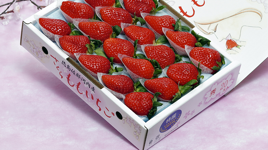 さくらももいちごのお取り寄せ│高級イチゴの通販｜うまいもんドットコム