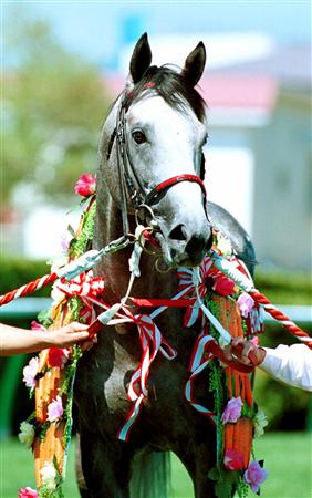 98年の2冠馬・セイウンスカイが死亡｜競馬ニュース｜競馬予想の