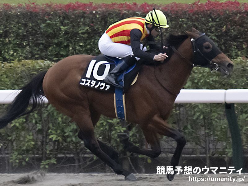 フェブラリーS2026】出走予定馬最速チェック ダートマイル王を決める