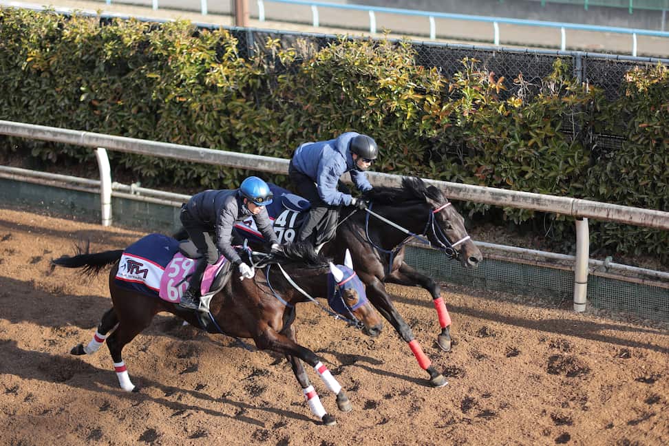 今週の注目新馬】ムーランラデの3代母はアドマイヤグルーヴ 宮地師