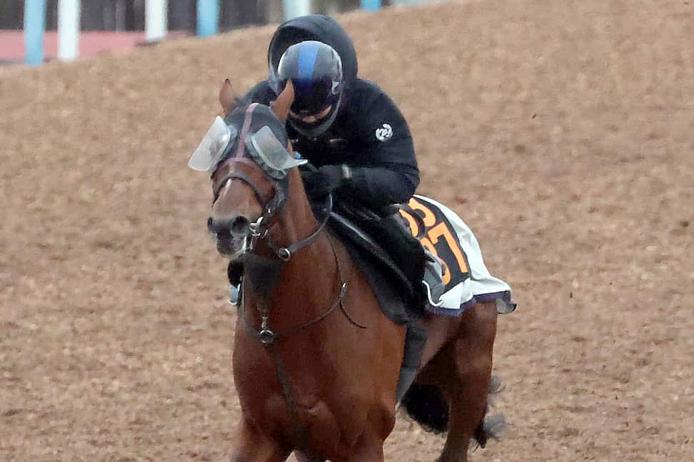 弥生賞ディープ記念 1週前追い切り】タイダルロックはウッドで2馬身半