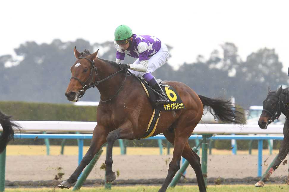 不来方賞】好相性の武豊と挑むサンライズジパング 久々の砂でも首位