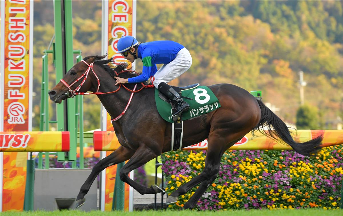 福島記念】パンサラッサが大逃げ決めて重賞初制覇！｜競馬ニュース
