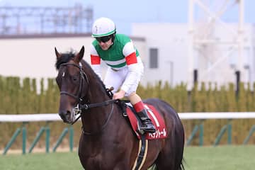 シェイクユアハート - 競走馬データTOP｜競馬予想のウマニティ