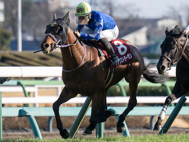 弥生賞ディープインパクト記念2026特集｜競馬予想のウマニティ