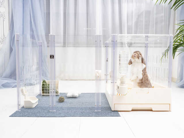 新スタイル「GEX ラビング クリアメゾン120」クローズアップ編｜USAKURA