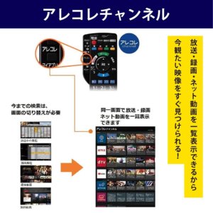 激安【訳アリ品】Panasonic ( パナソニック ) VIERA ビエラ 地上・BS