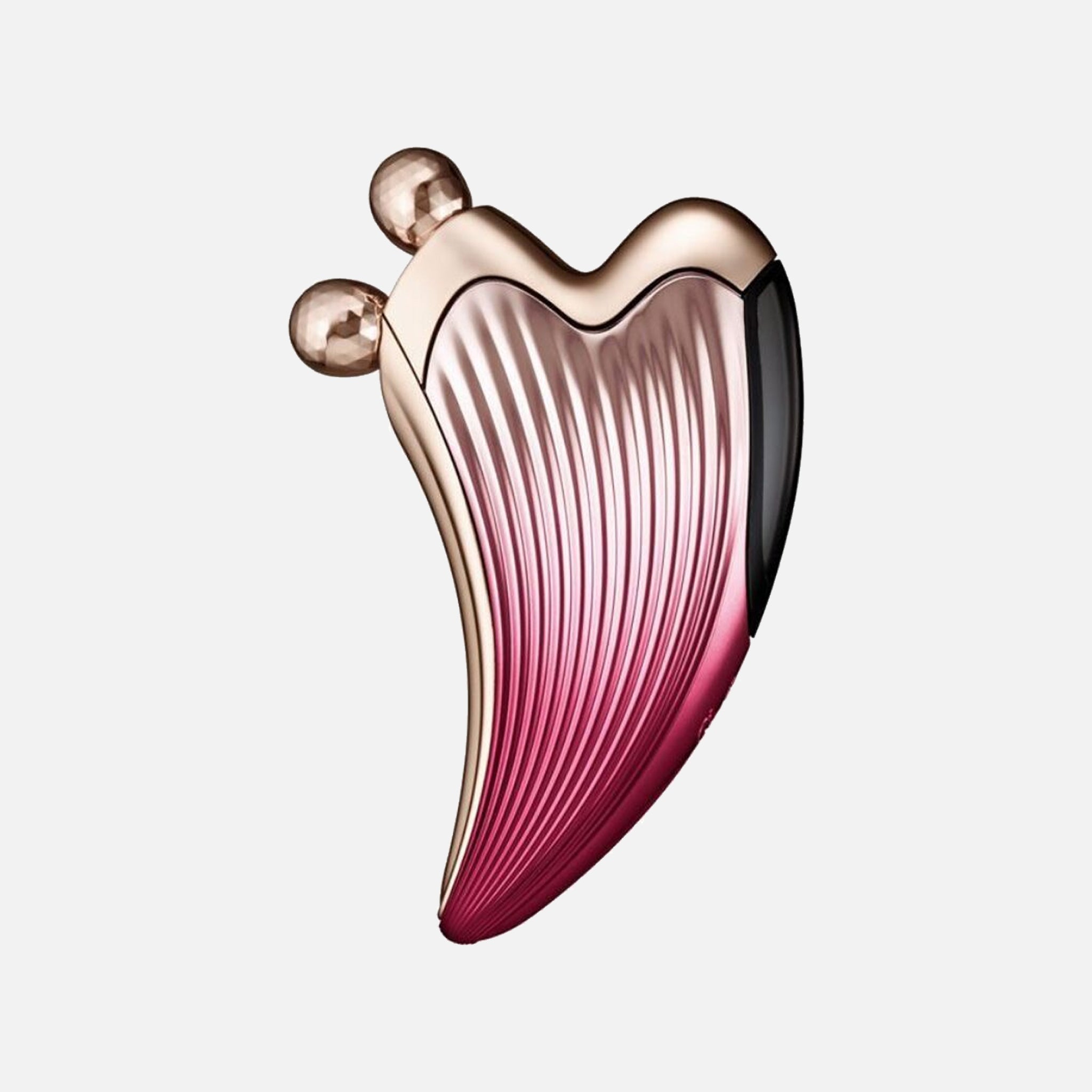 ReFa CAXA Ray Face Lifting Red – LAMOUR Beauty & Life