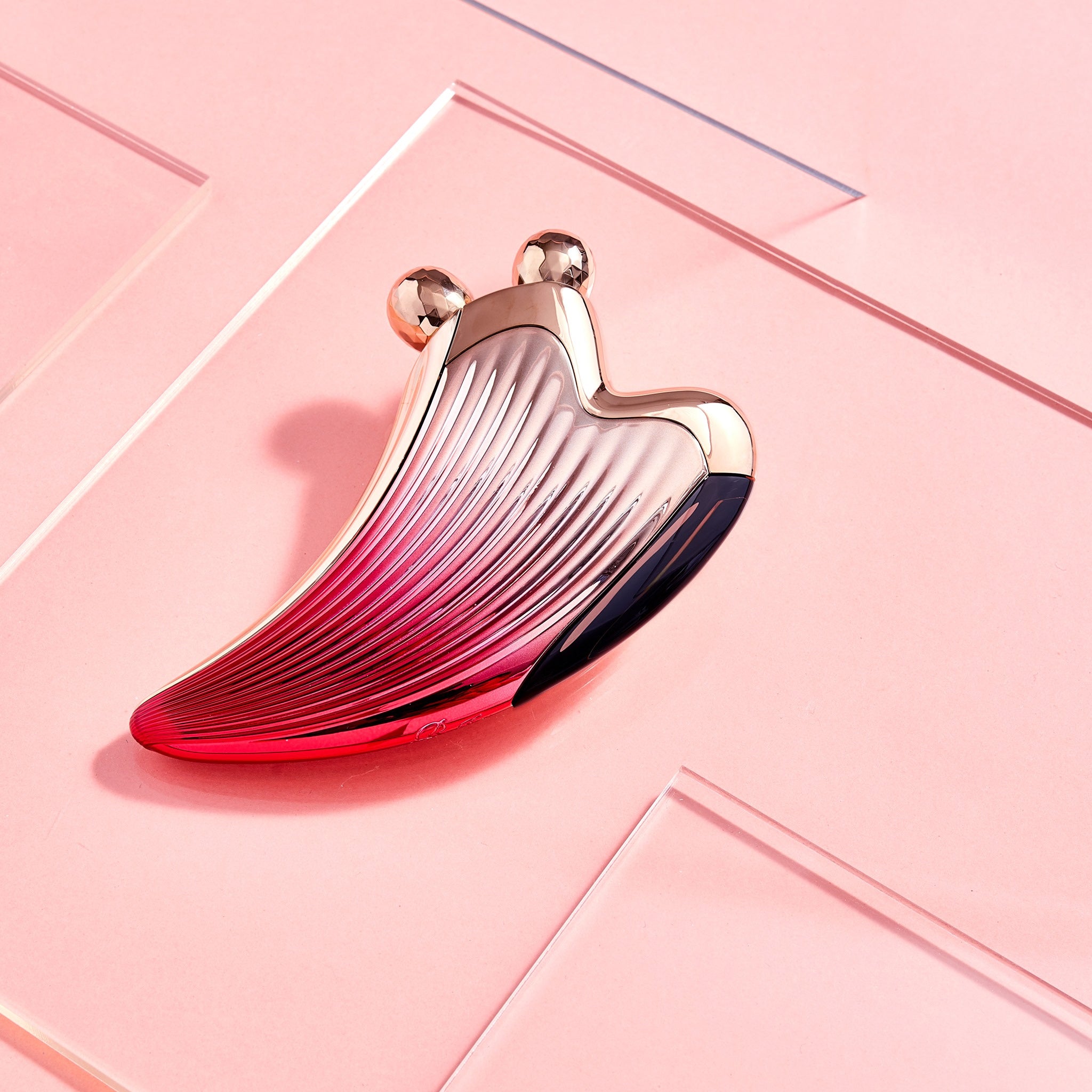 ReFa CAXA Ray Face Lifting Red – LAMOUR Beauty & Life