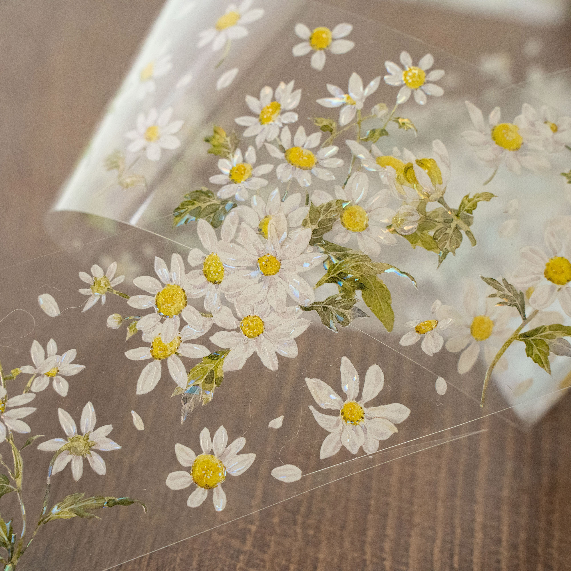 hoshi - m.nekonozakka.com