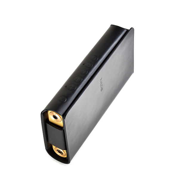 E312：SONY NW-WM1ZM2／NW-WM1AM2用横型キャリングケース | バンナイズ