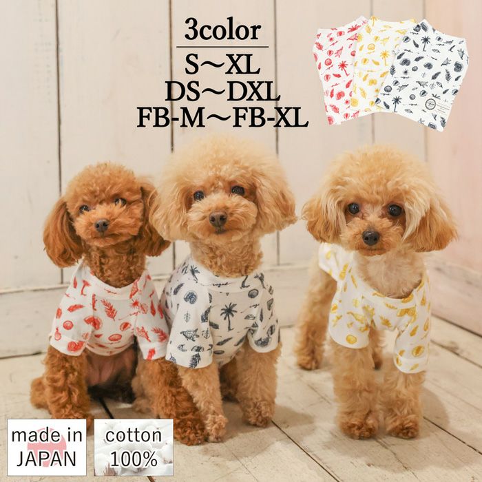 Vague original ALOHA-T | Vague