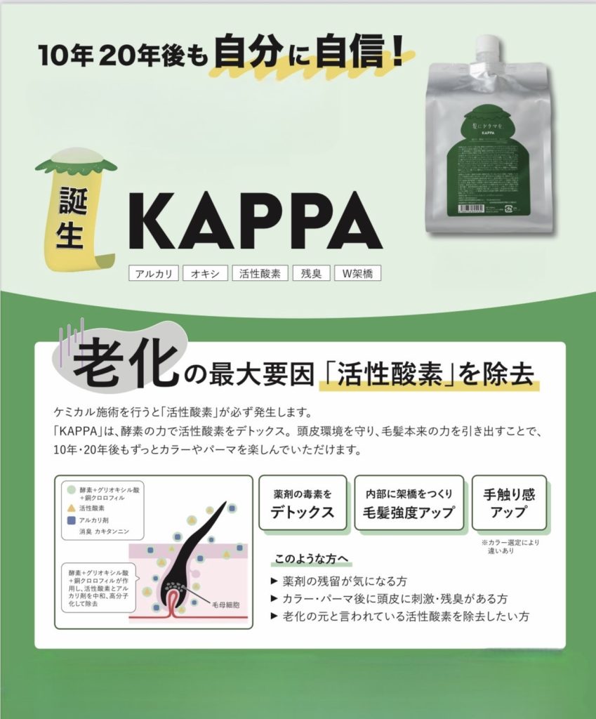 アナゴトリートメント - VAIRON