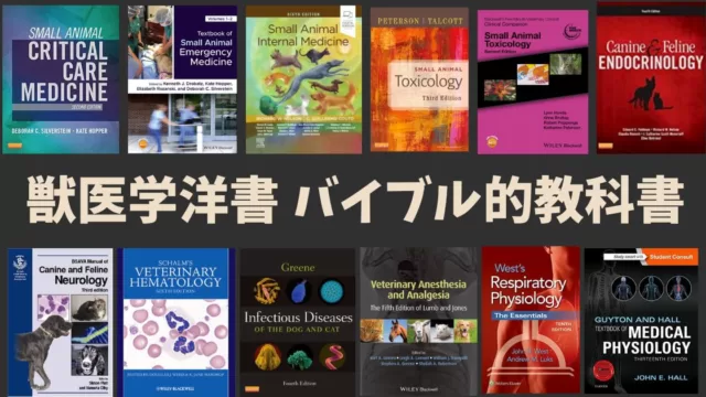 英語の教科書王道を紹介します/アメリカ獣医大学で学ぶ | みけぶろぐ