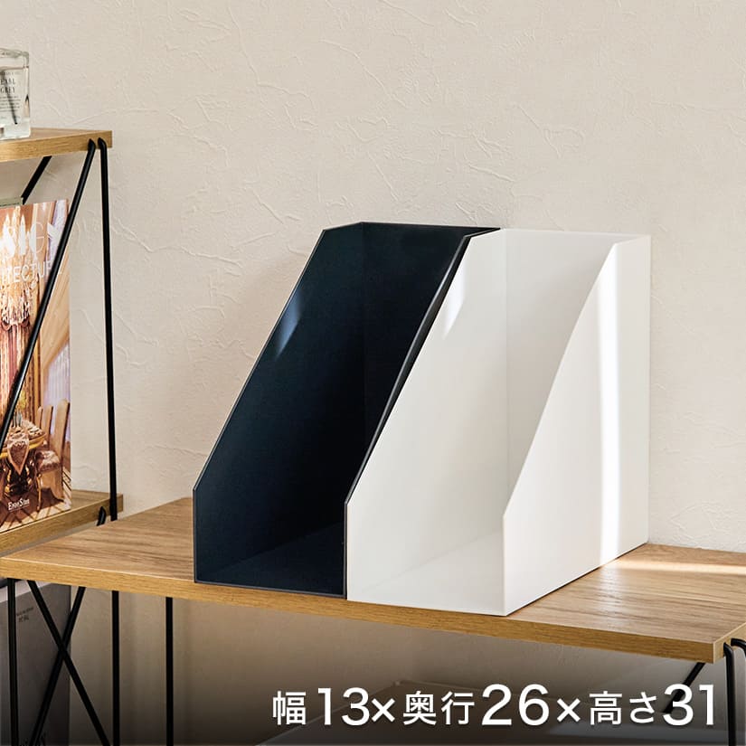 収納ボックス ライフモジュール A4ファイルケース ワイド プラスチック