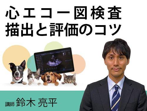 心エコー図検査 描出と評価のコツ|VetMovie 獣医師向け映像教材配信