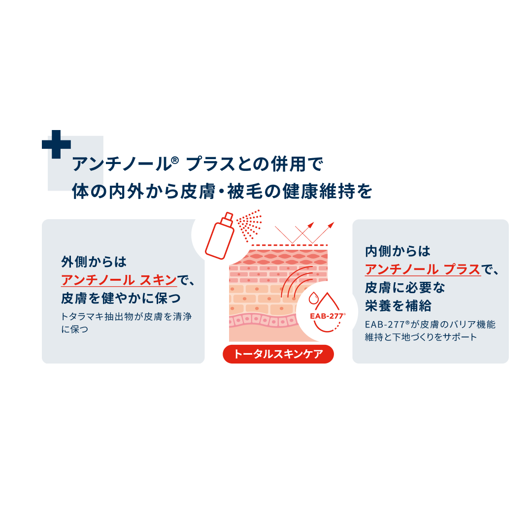 アンチノールスキン | 犬・猫の皮膚健康ケアに最適なナチュラルスキン