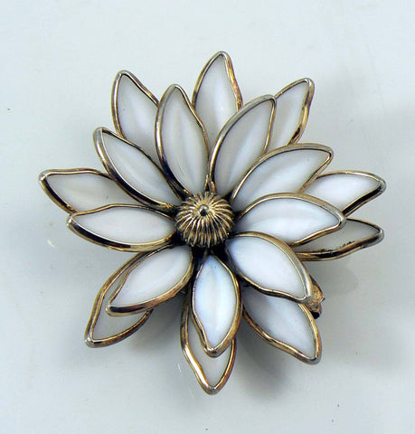 wsfd_large.jpg?v=1499660109