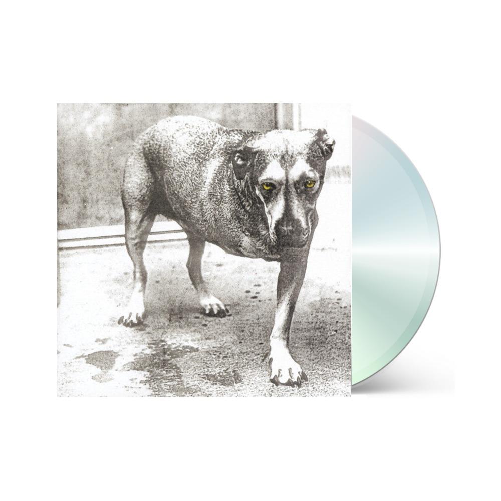 Alice in Chains CDs - Alice in Chains CDs | CDs