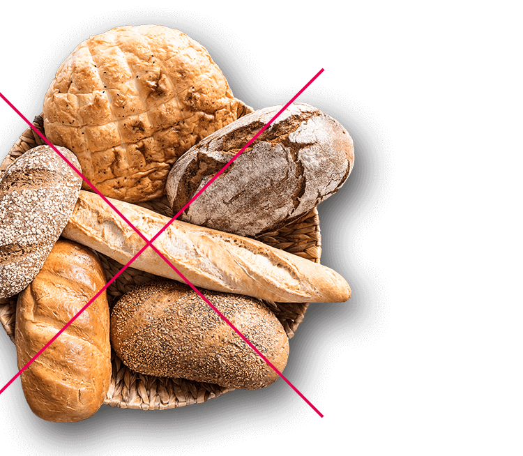 グルメサプリ 〉ターミナリアファーストで食事を愉しむ｜ビタブリッド