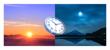 ペリオデュークエッセンス ジョアエコ313｜VIVANT JOIE