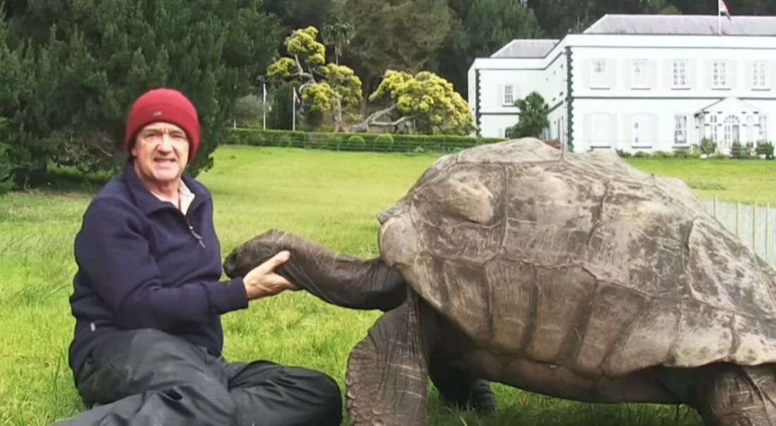 ギネス記録で世界一長生きの亀は191歳で現存する最古の陸生動物 | ビバラク