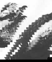 POISON ARTS profile | POISON ARTSプロフィール | vkgy (ブイケージ)