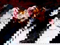 Complete of Demo Tracks - Mercuro | vkgy (ブイケージ)