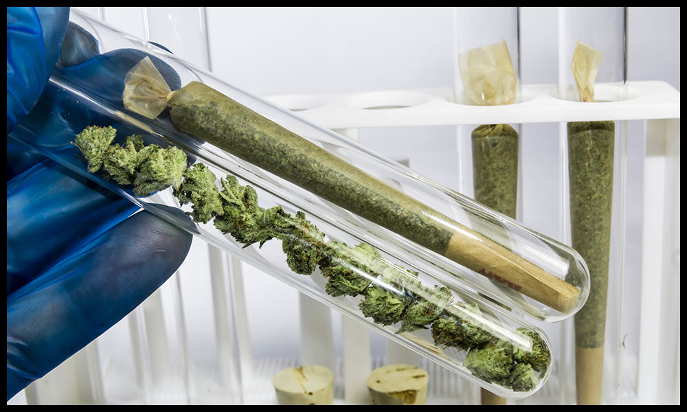 VapeMania オリジナル CBN ハーブ Extra Strong - VapeMania®