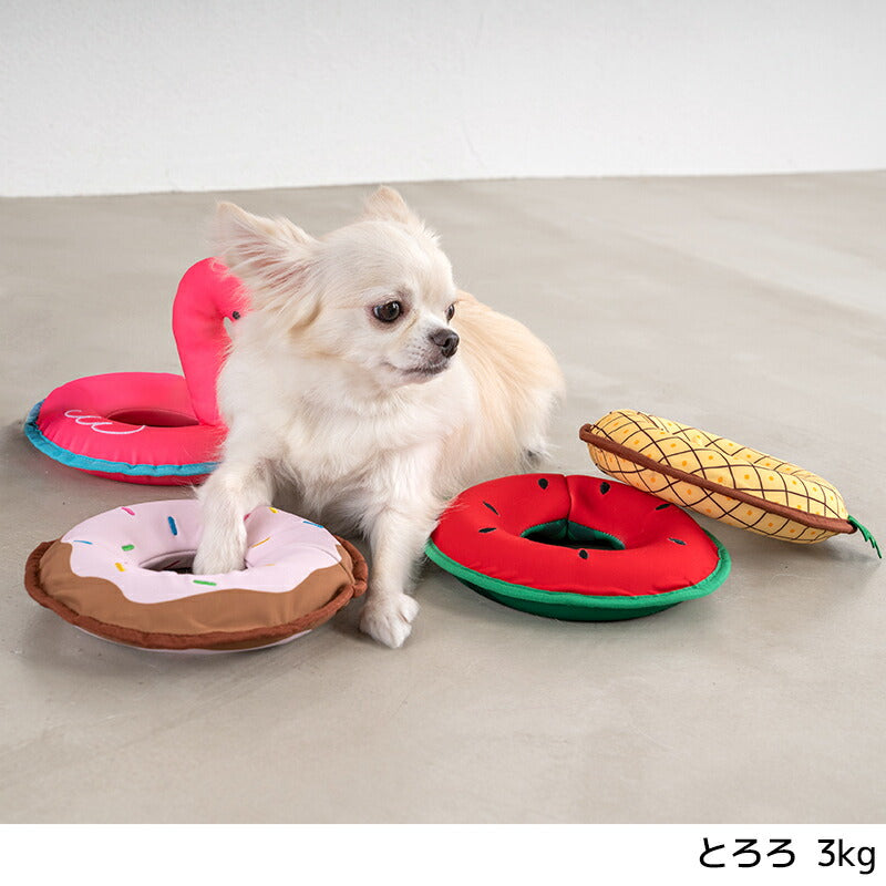 リングスイムトイ Free Solgra TOY -ソルグラ トイ- 犬用おもちゃ