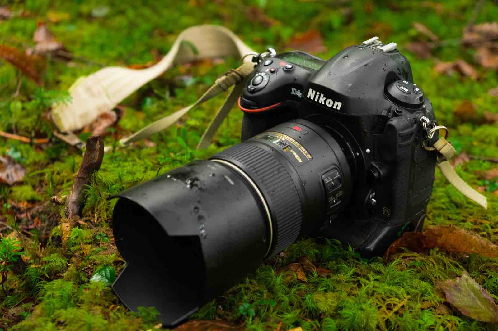 OLYMPUS E-PL2を使っていて感じたミラーレス一眼についての感想 | イイモノ