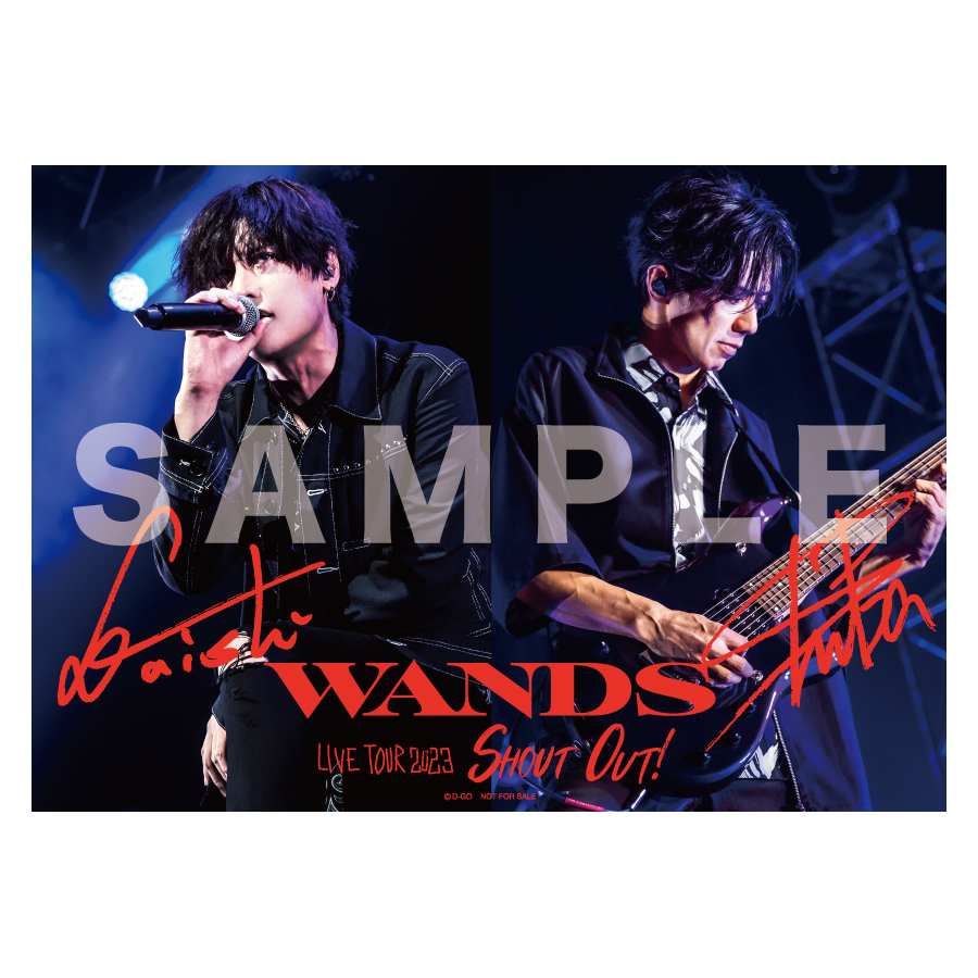 WANDS OFFICIAL WEBSITE