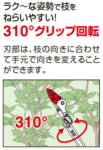 軽量伸縮式高枝鋏ズームチョキエコノ 160ZD-2.0-3D｜アルス《公式》