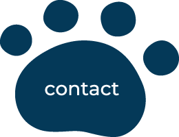 suits me! suits you!（通常盤） | wacci - ワッチ 公式ウェブサイト