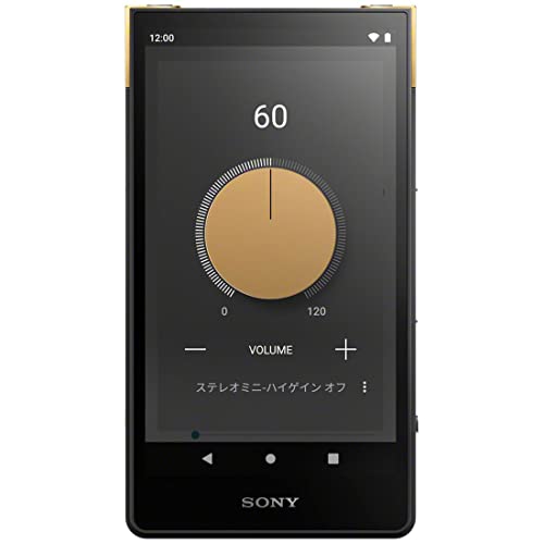 SONY Walkman 64GB ZX Series NW-ZX707 : High-end streaming WALKMAN